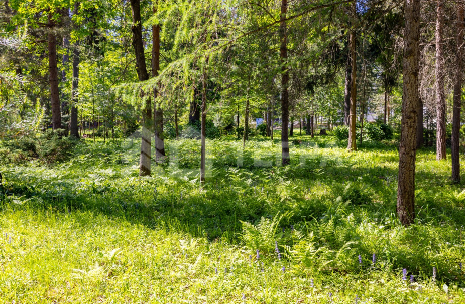 Объект ID 18674 - Дом