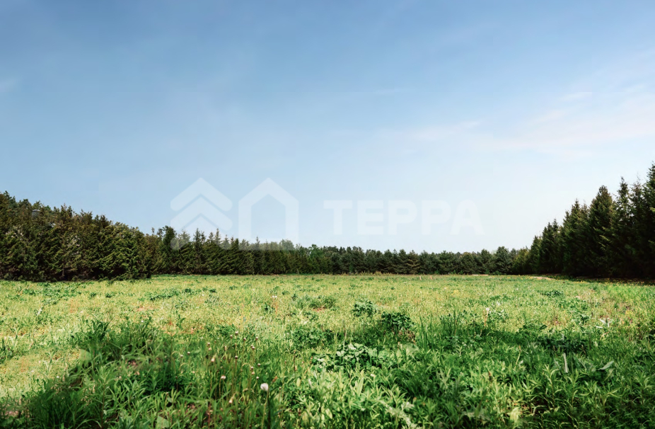 Объект ID 18685 - Участок