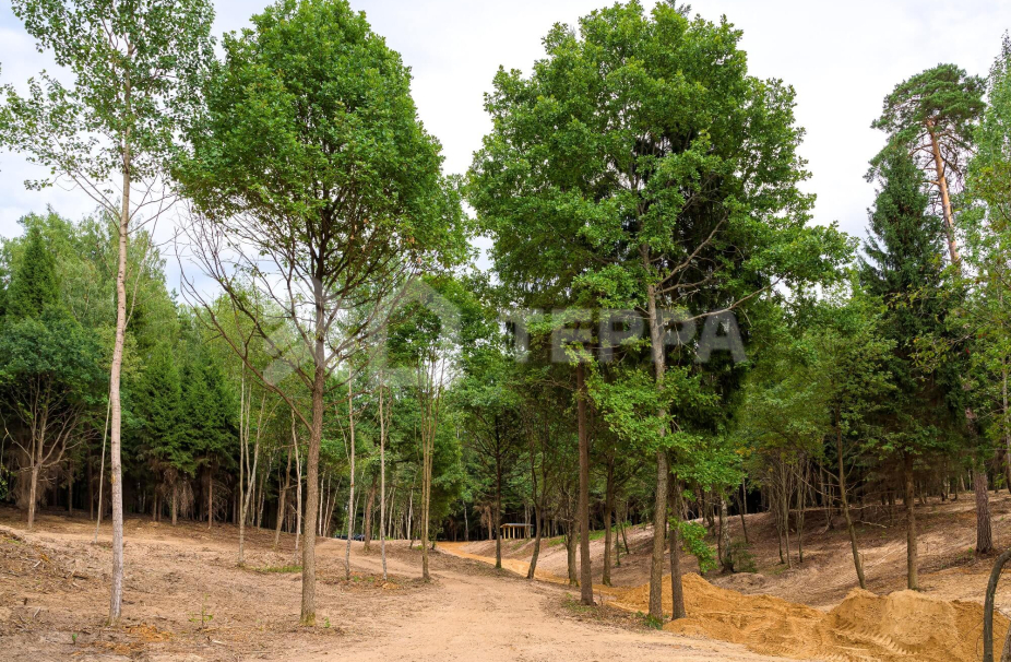 Объект ID 17389 - Участок