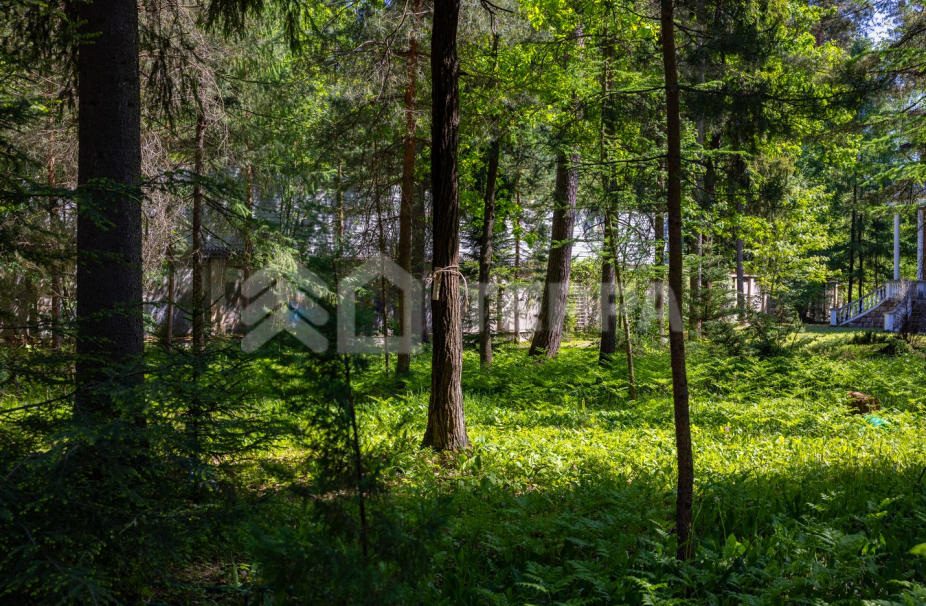 Объект ID 18673 - Участок