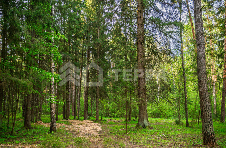 Объект ID 18769 - Участок