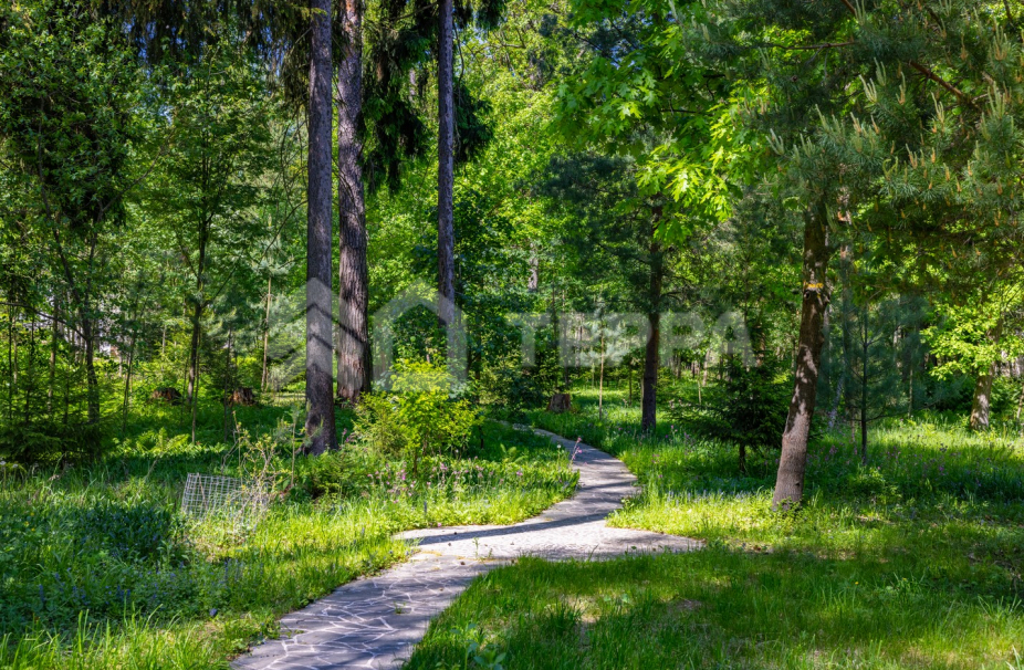 Объект ID 18673 - Участок