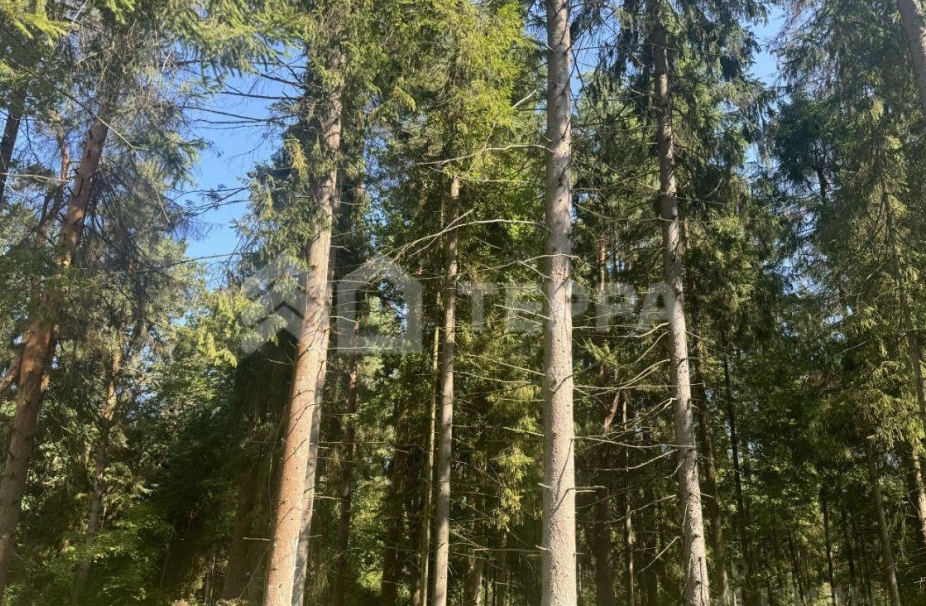 Объект ID 18306 - Участок