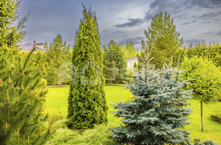 Объект ID 18694 - Дом