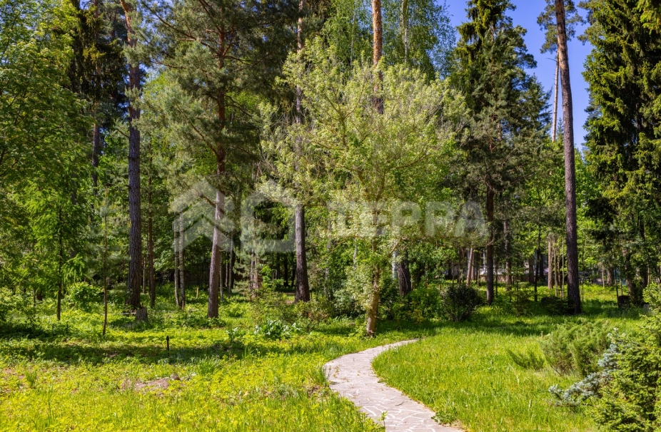 Объект ID 18673 - Участок