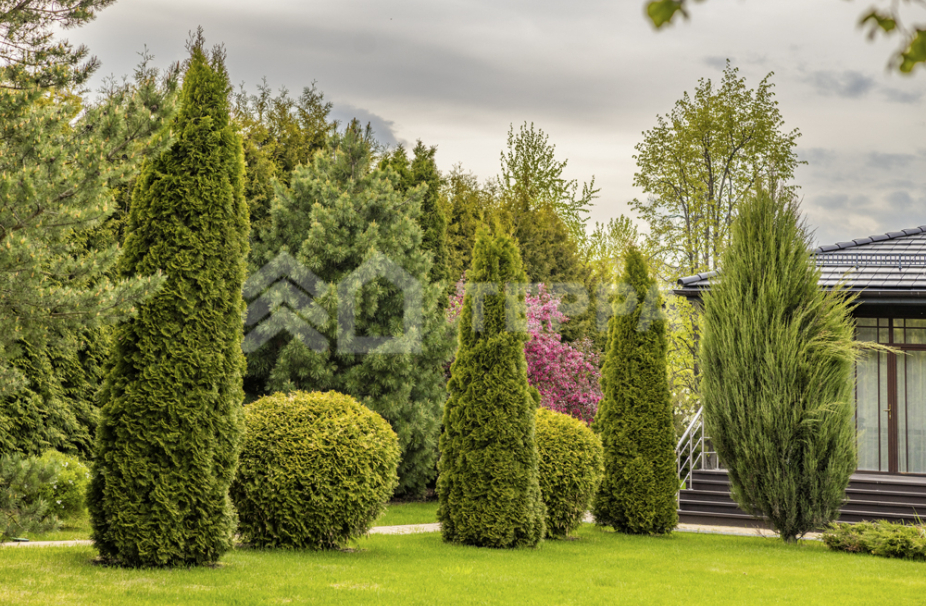 Объект ID 18694 - Дом