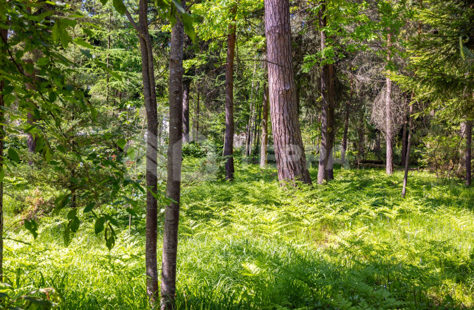 Объект ID 18673 - Участок