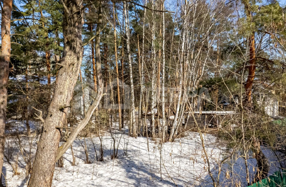 Объект ID 19160 - Участок