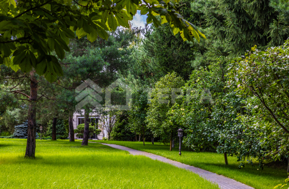 Объект ID 18205 - Дом