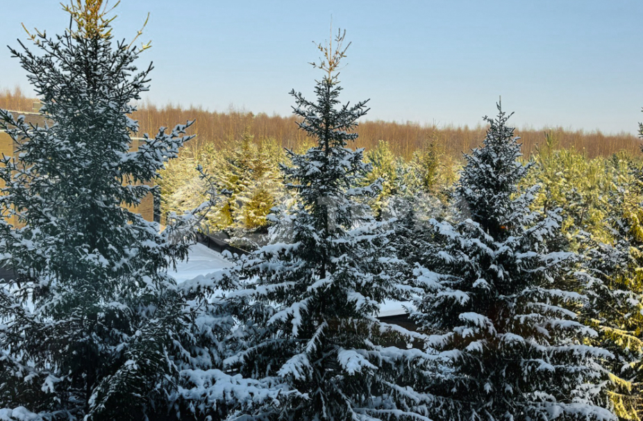 Объект ID 17857 - Дом