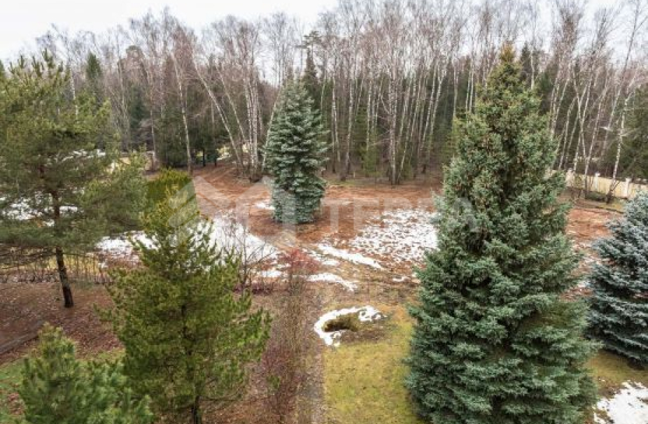 Объект ID 18396 - Участок