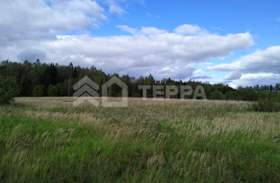Объект ID 19238 - Участок