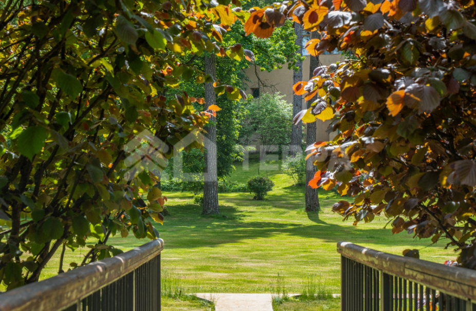 Объект ID 18661 - Участок