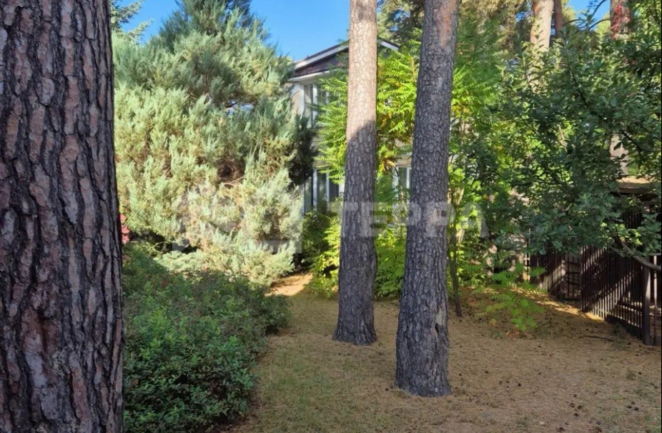 Объект ID 19138 - Дом