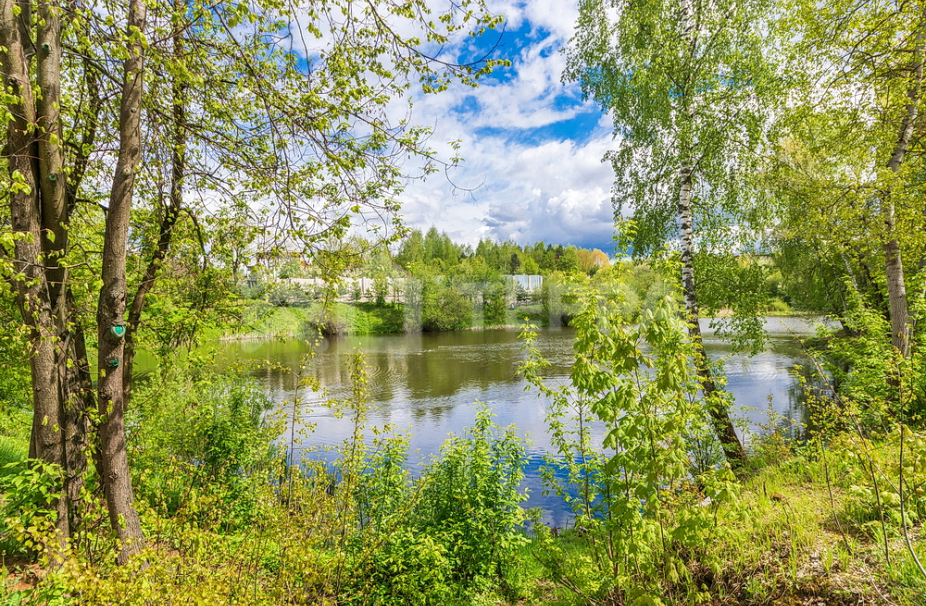 Объект ID 18983 - Участок