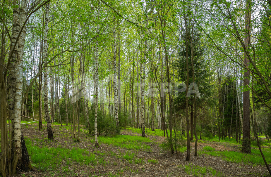 Объект ID 18570 - Участок