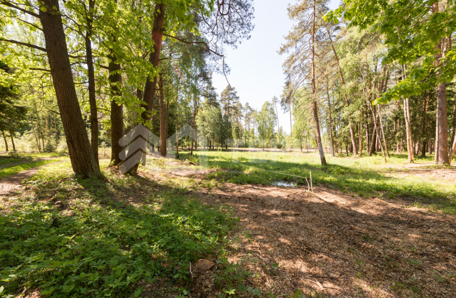 Объект ID 18069 - Участок