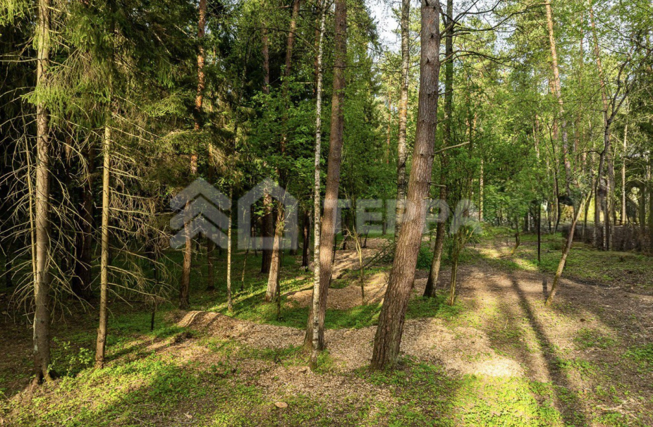 Объект ID 19097 - Участок