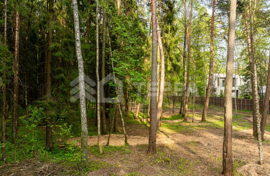 Объект ID 18575 - Участок