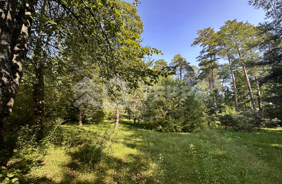 Объект ID 18147 - Участок