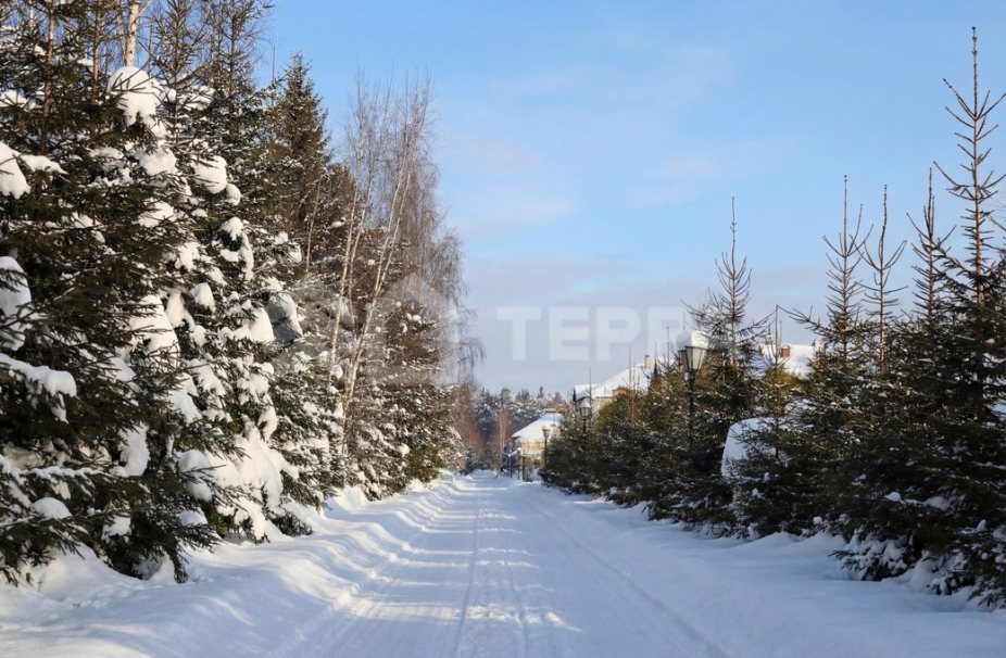 Объект ID 19124 - Участок