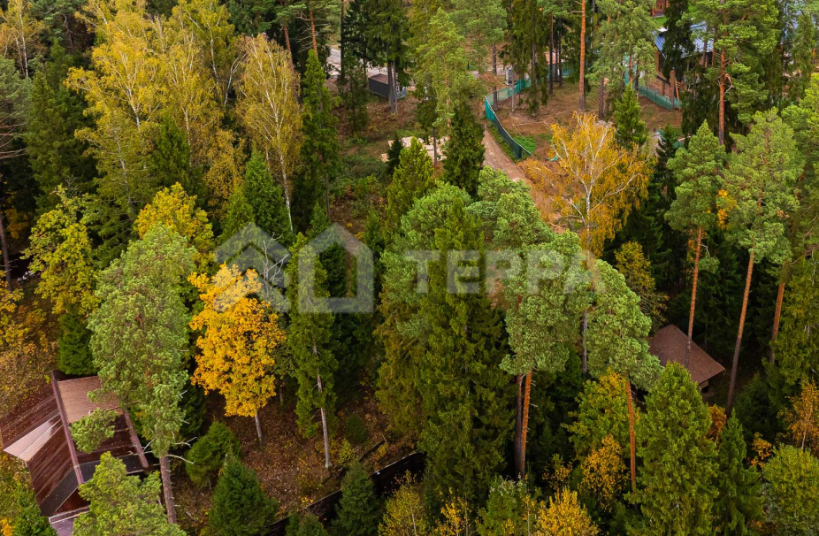 Объект ID 18529 - Участок