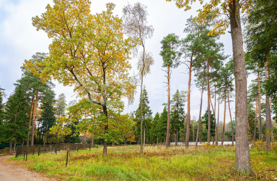 Объект ID 17674 - Участок