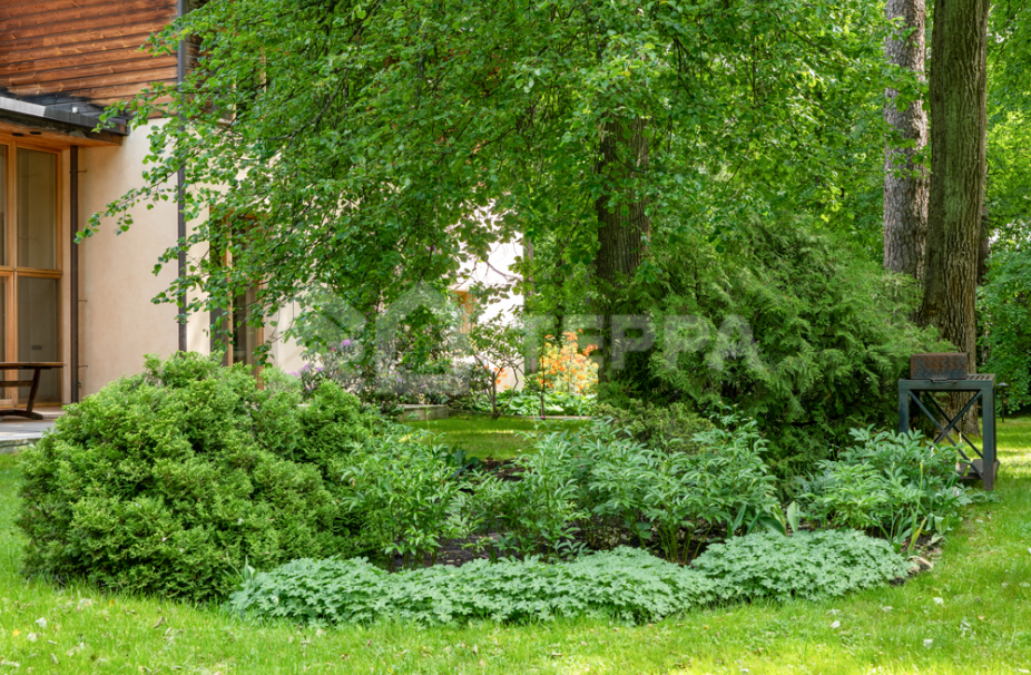 Объект ID 8224 - Дом