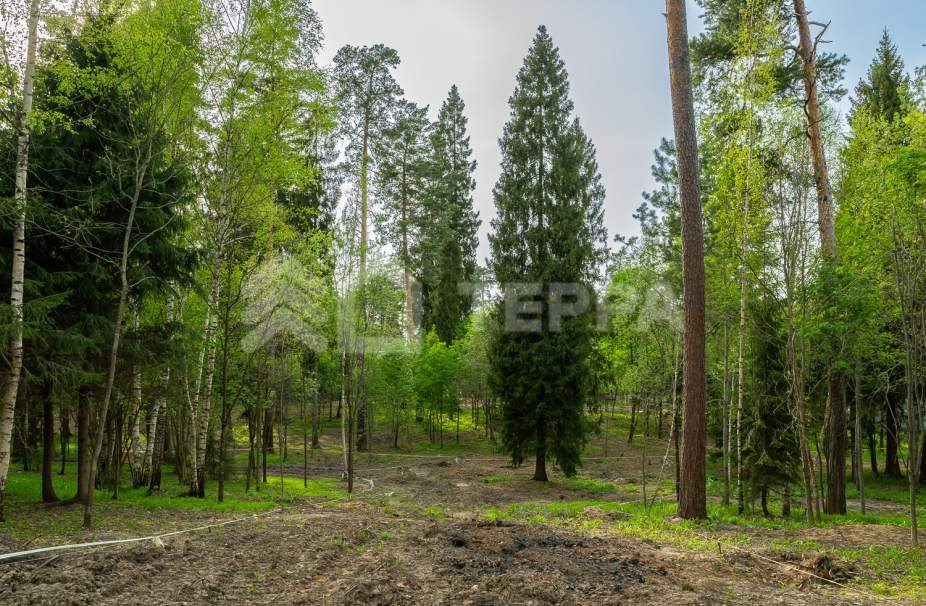 Объект ID 18567 - Участок