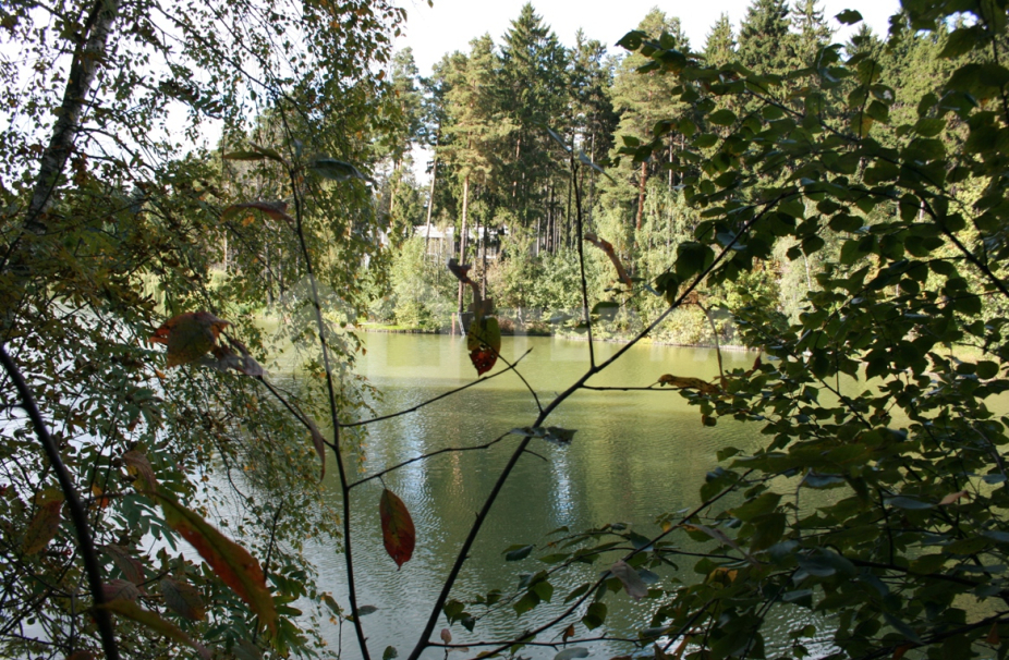 Объект ID 18666 - Дом