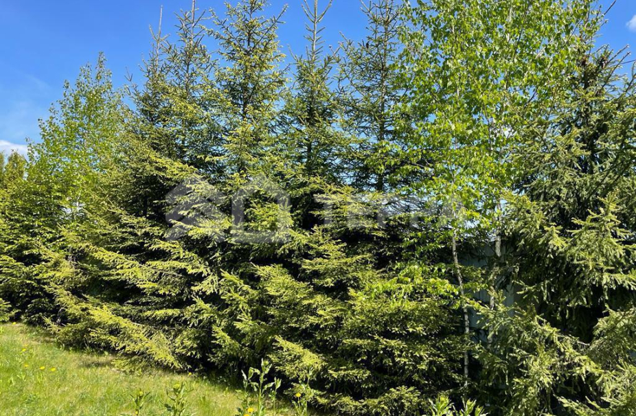 Объект ID 17633 - Дом