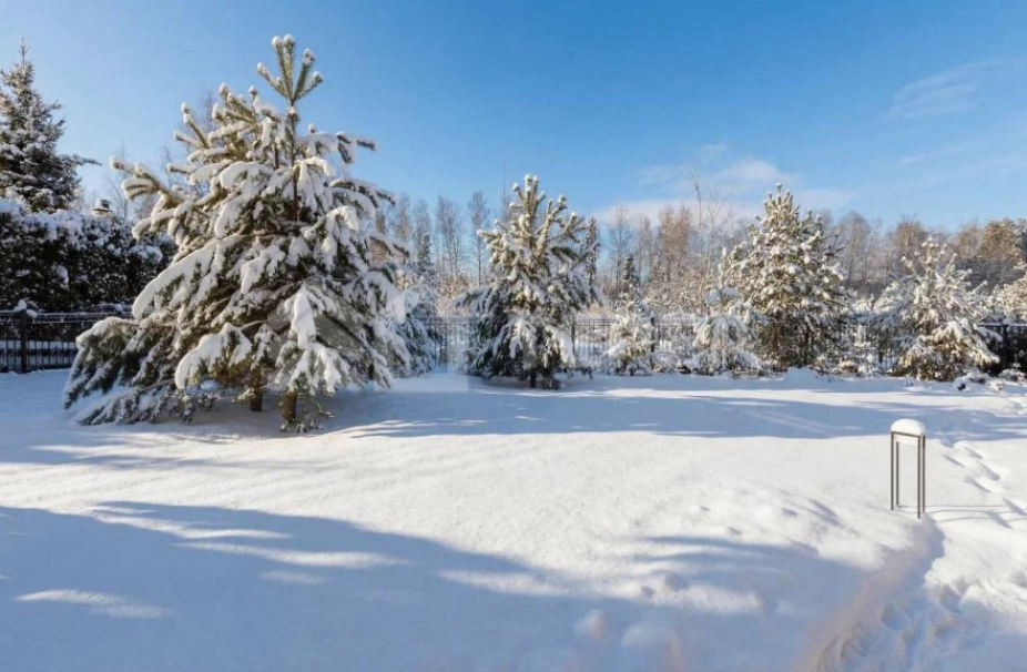 Объект ID 19066 - Дом