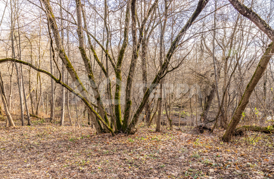 Объект ID 18292 - Участок