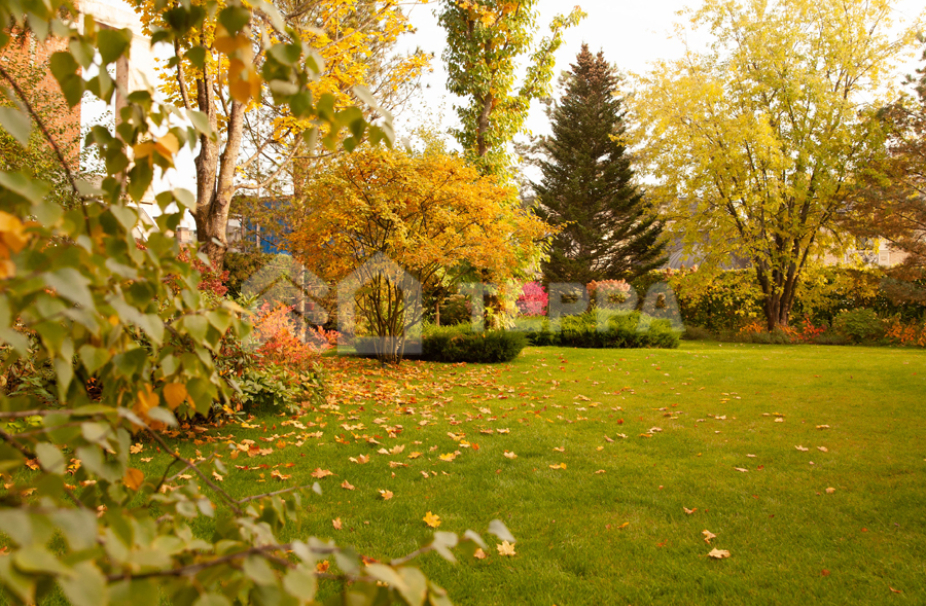 Объект ID 17488 - Дом