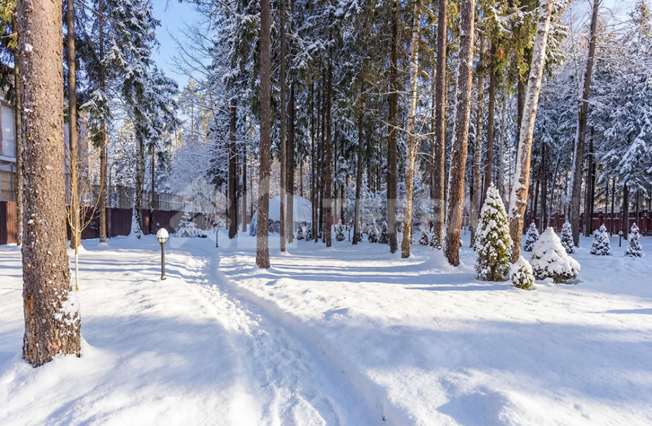 Объект ID 11508 - Дом