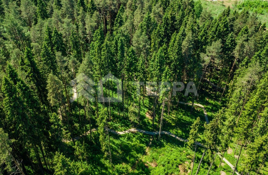 Объект ID 13733 - Участок