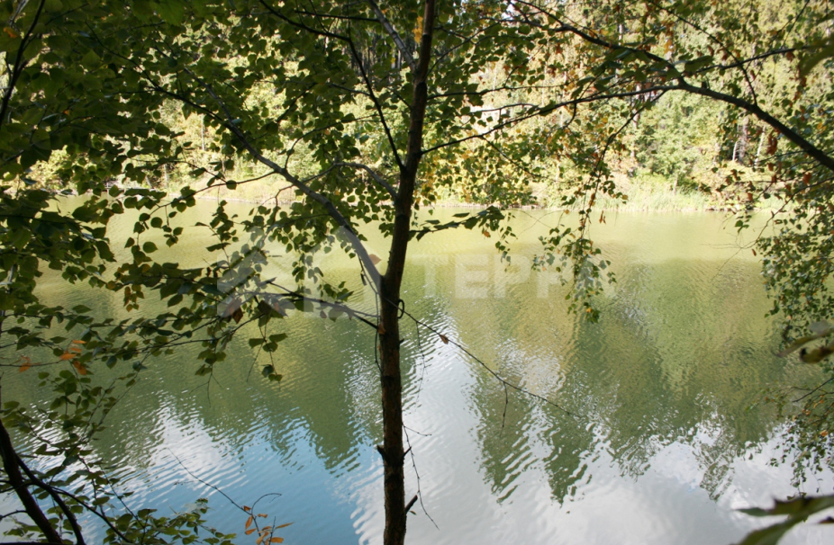 Объект ID 18667 - Участок