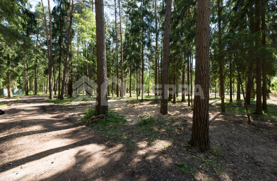 Объект ID 18069 - Участок