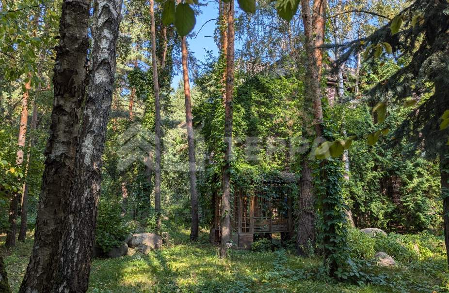 Объект ID 18751 - Участок