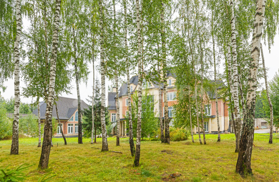 Объект ID 16637 - Дом