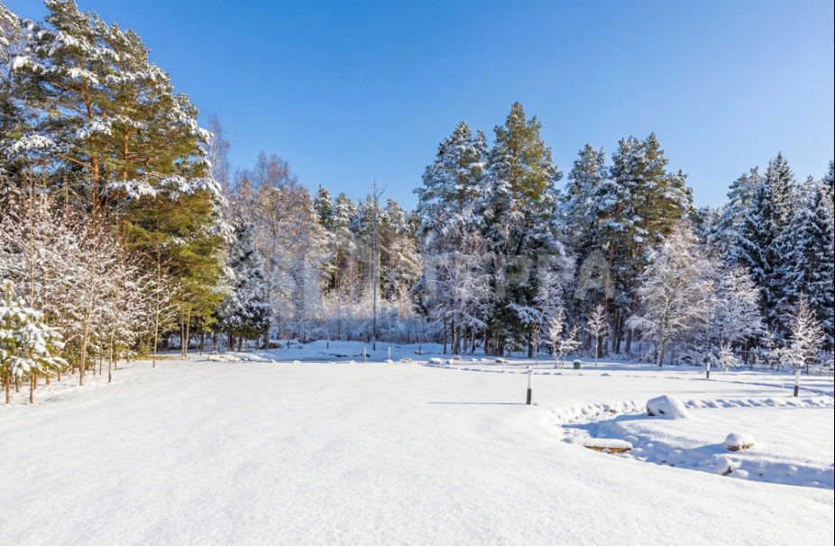 Объект ID 19035 - Дом