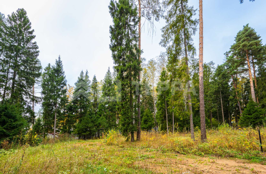 Объект ID 17916 - Участок