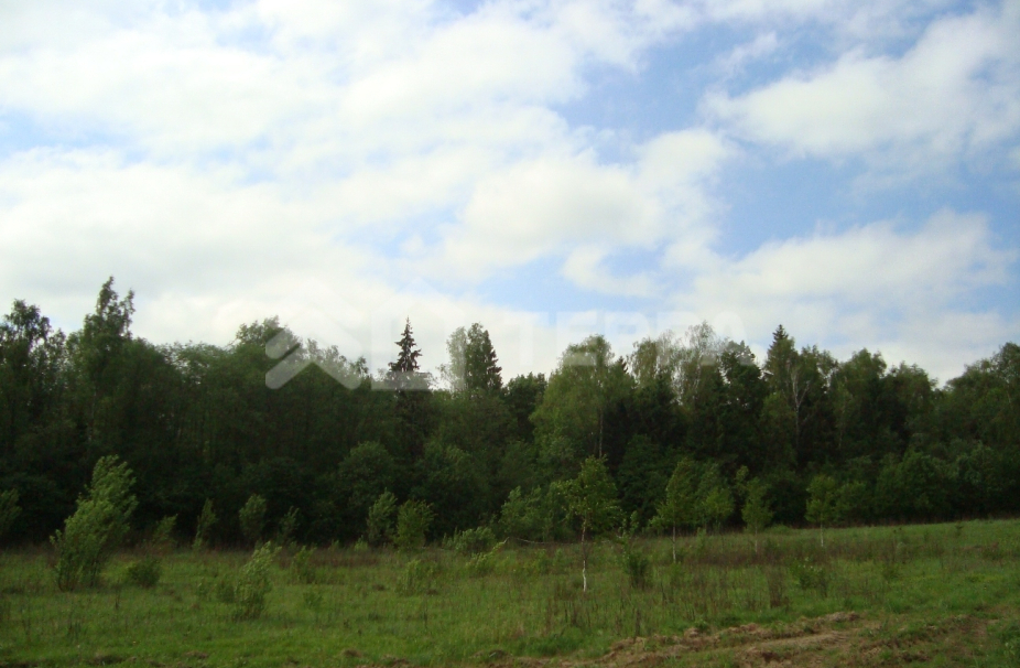 Объект ID 12001 - Участок