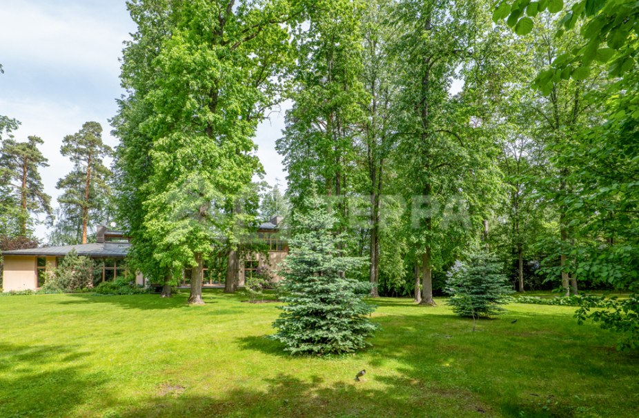 Объект ID 18661 - Участок