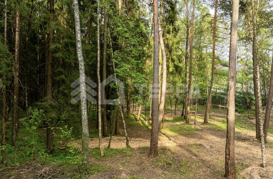 Объект ID 19096 - Участок