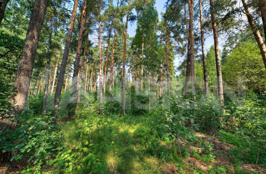 Объект ID 18148 - Участок