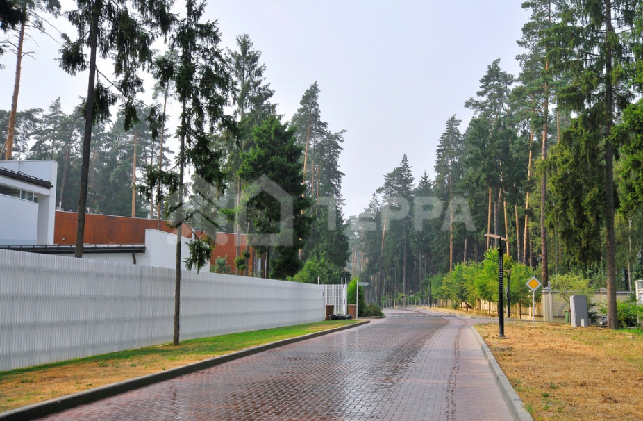 Сосновый Бор