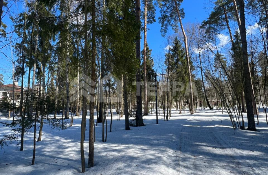 Объект ID 17962 - Участок