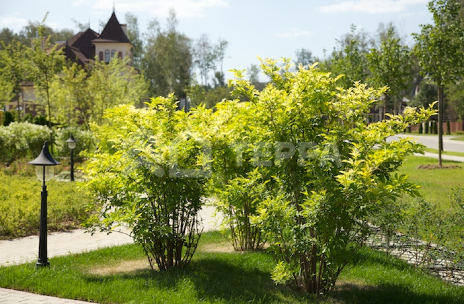 Новогорск-7