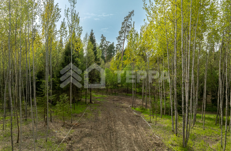 Объект ID 18566 - Участок